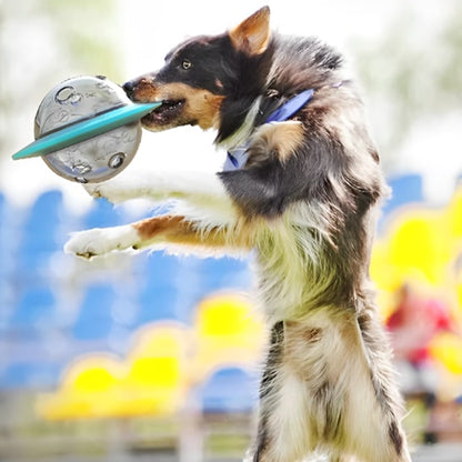 distributeur-de-friandises-chien