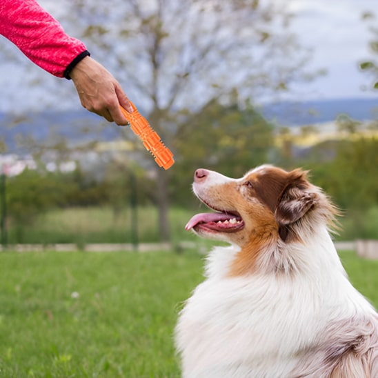 jouet-chien-marche-oski