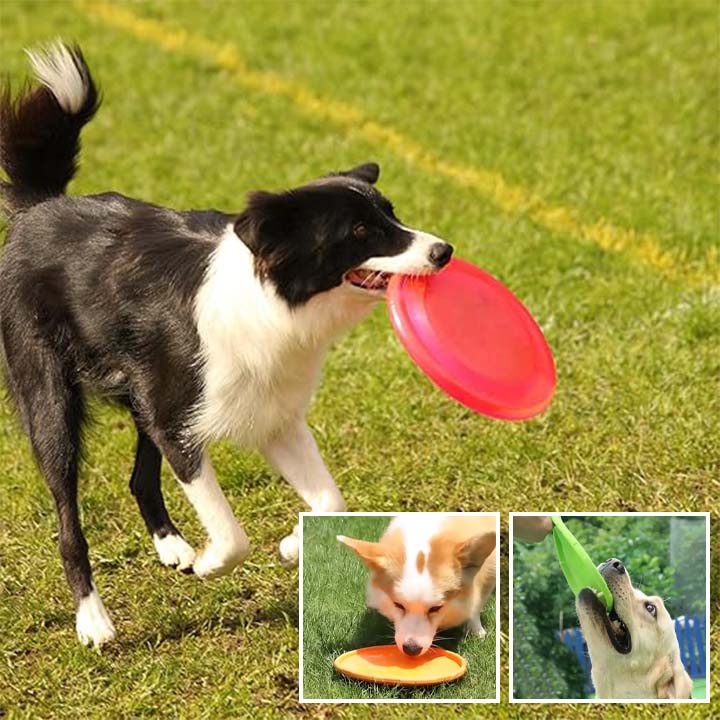 jouets-de-disque-volant-pour-chien