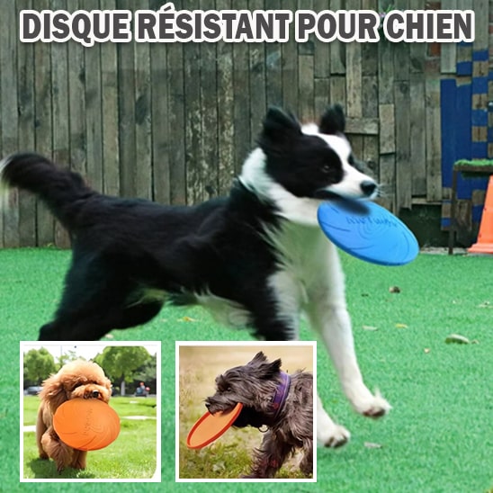 jouets-de-disque-volant-pour-chien