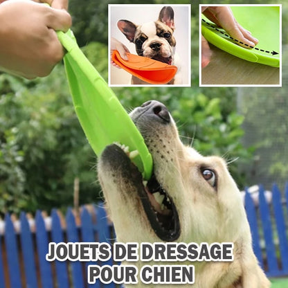 jouets-de-disque-volant-pour-chien