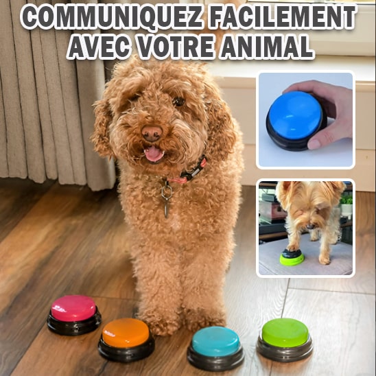 jouets-interactifs-pour-chien