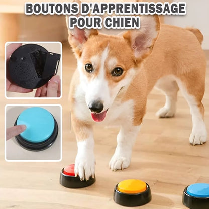 jouets-interactifs-pour-chien