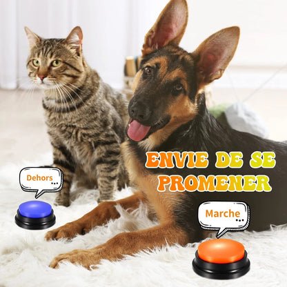 jouets-interactifs-pour-chien