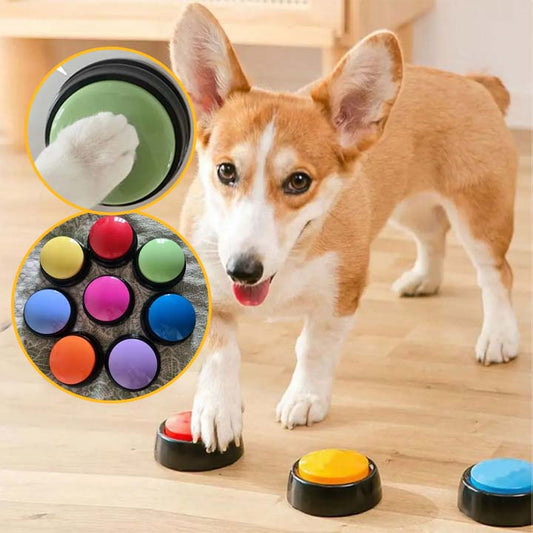 jouets-interactifs-pour-chien