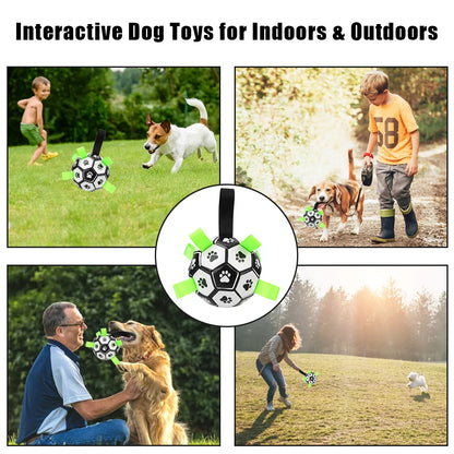 Jouet Interactif Ultime pour Chiens|BALLON MAGIQUE™