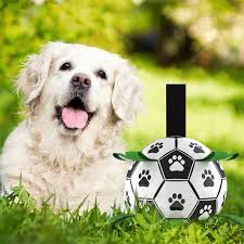 Jouet Interactif Ultime pour Chiens|BALLON MAGIQUE™