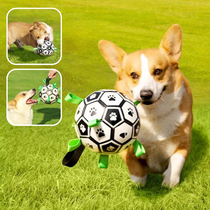 Jouet Interactif Ultime pour Chiens|BALLON MAGIQUE™