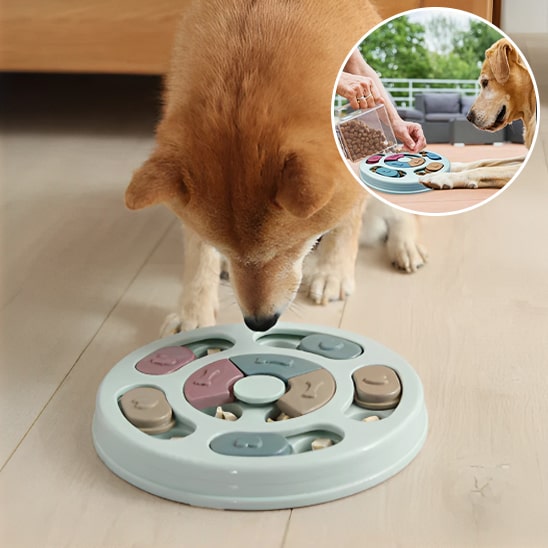 puzzle-nourriture-chien-smartfeed