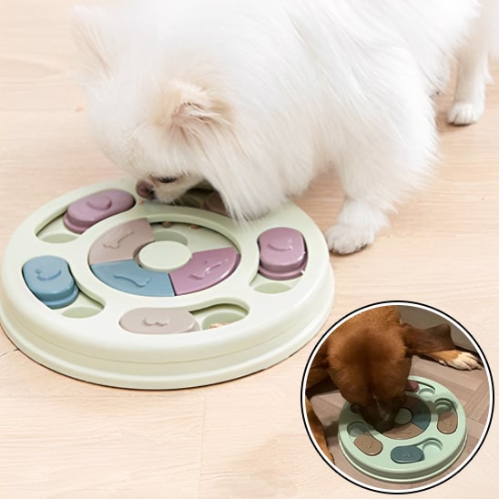 puzzle-nourriture-chien-smartfeed