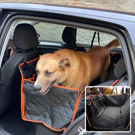 siege-auto-pour-chien-visipet