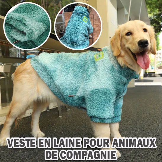 veste-pour-chien