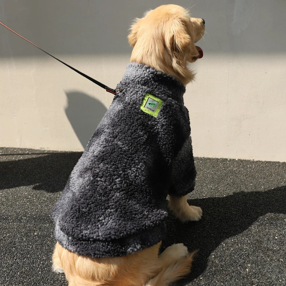 veste-pour-chien