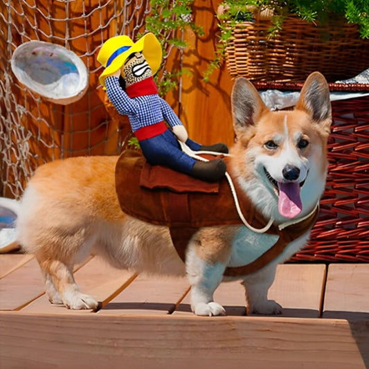 Vêtements-de-cowboy-pour-chien